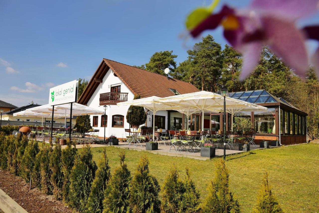 Lokal Genial Pension & Restaurant Белиц Экстерьер фото